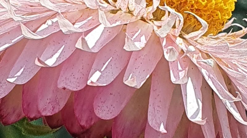 パスワード・認証